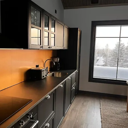 Porthos Ski-in With Private Hot Tub And Sauna In Lapland Pyhätunturi