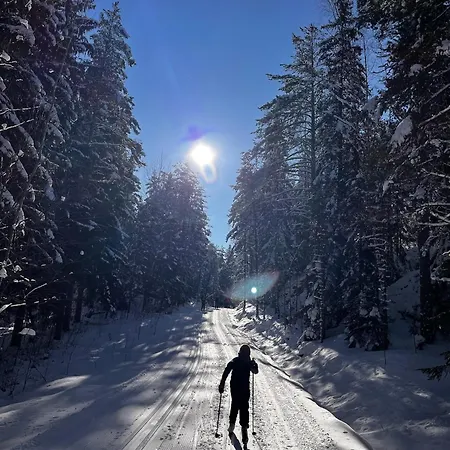 Domek alpejski Porthos Ski-in With Private Hot Tub And Sauna In Lapland *