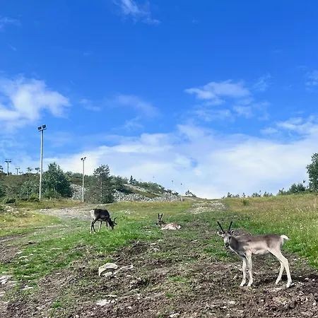 Porthos Ski-in With Private Hot Tub And Sauna In Lapland Chalet